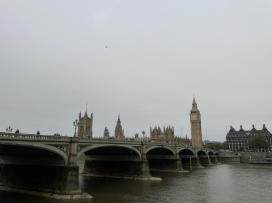 image1 (1)