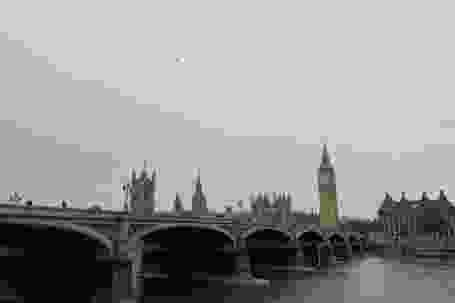 image1 (1)