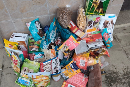 WhatsApp Image 2025-12-11 at 14.51.05 (1)