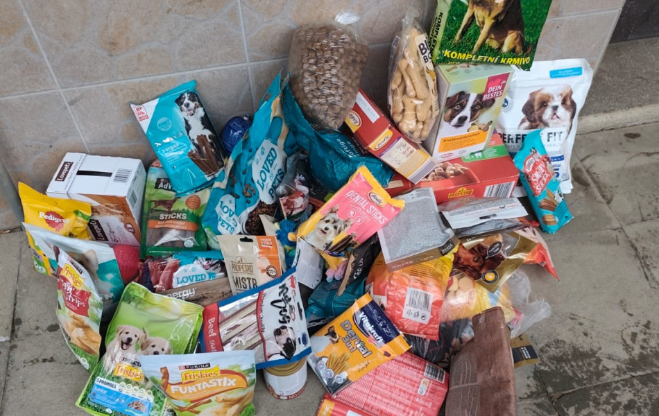 WhatsApp Image 2025-12-11 at 14.51.05 (1)