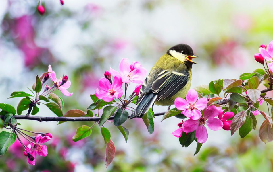 iStock-1202534224