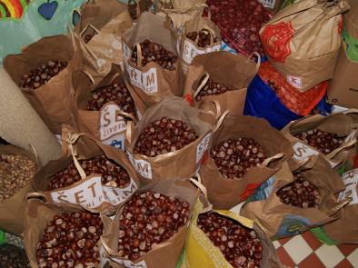 Odvoz kaštanů se blíží