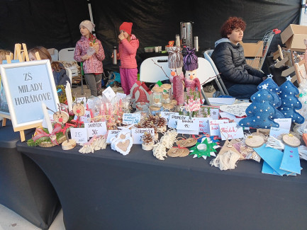 WhatsApp Image 2025-12-07 at 15.09.59 (1)