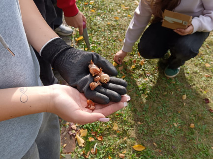 WhatsApp Image 2025-10-30 at 10.48.03 (1)