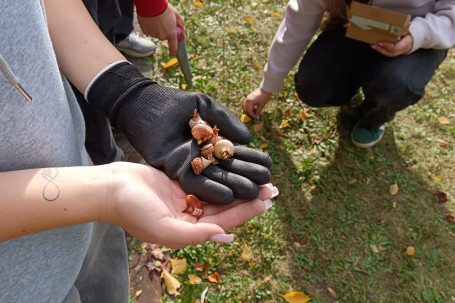 WhatsApp Image 2025-10-30 at 10.48.03 (1)