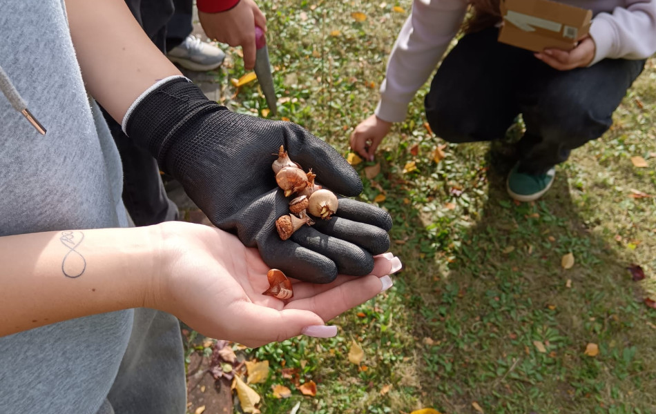 WhatsApp Image 2025-10-30 at 10.48.03 (1)