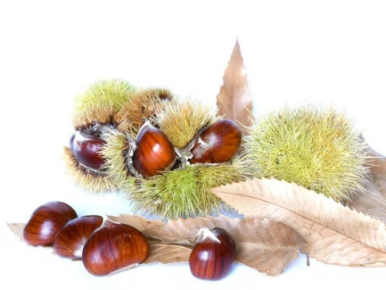 Kaštany