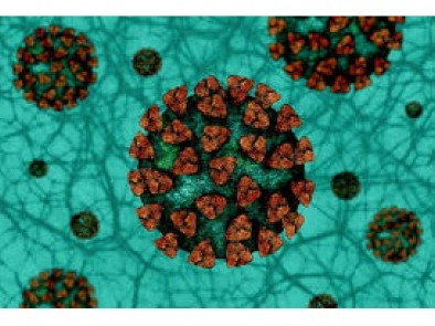 Screeningové testování pokračuje